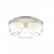 Потолочная люстра ST Luce Ovale SL546.502.03