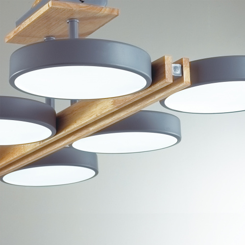 Потолочная светодиодная люстра Lumion Plato 8031/108CL