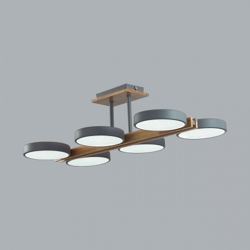 Потолочная светодиодная люстра Lumion Plato 8031/108CL