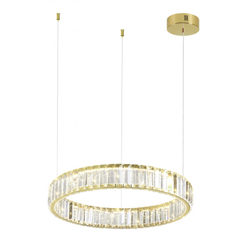 Подвесная светодиодная люстра Odeon Light Vekia 5015/30L