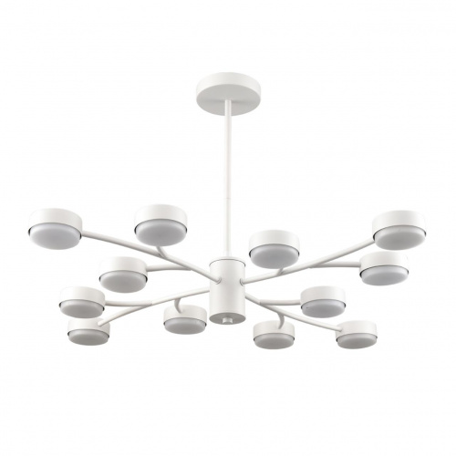 Подвесная люстра Lumion Torina 8265/12