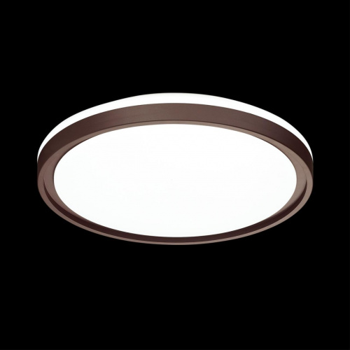 Потолочный светодиодный светильник Sonex Pale Navil 3044/DL