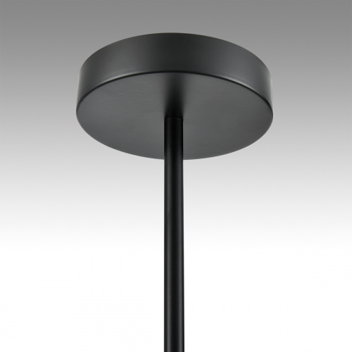 Подвесная люстра Lumion Torina 8117/12