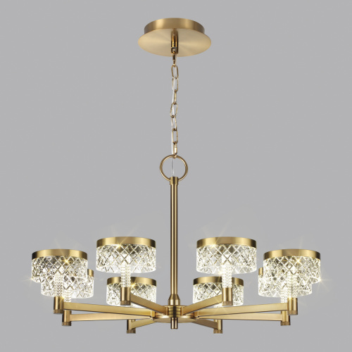 Подвесная светодиодная люстра Odeon Light Fivre 5032/48L