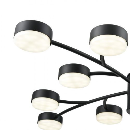 Подвесная люстра Lumion Torina 8117/12