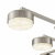 Потолочная люстра Lumion Dabra 8115/8C Потолочная люстра Lumion Dabra 8115/8C