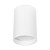 Потолочный светильник Arte Lamp Beid A1517PL-1WH