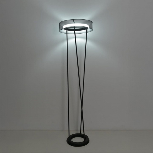 Торшер Lumion LEDIO 8370/30FL