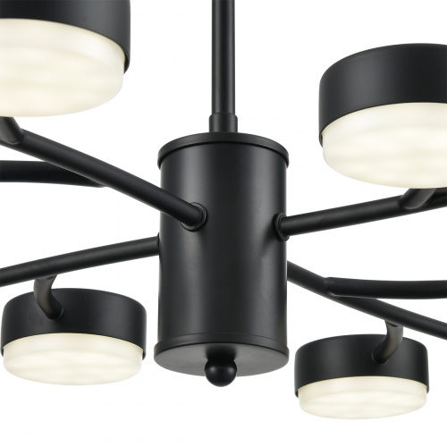 Подвесная люстра Lumion Torina 8117/12