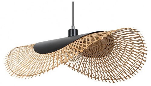 Подвесной светильник Arte Lamp Woodstock A7063SP-1BK