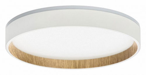 Накладной светильник Citilux Etalon CL750240