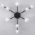 Потолочная люстра Citilux Glob CL209291