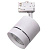 Трековый светодиодный светильник Lightstar Canno Led 301564