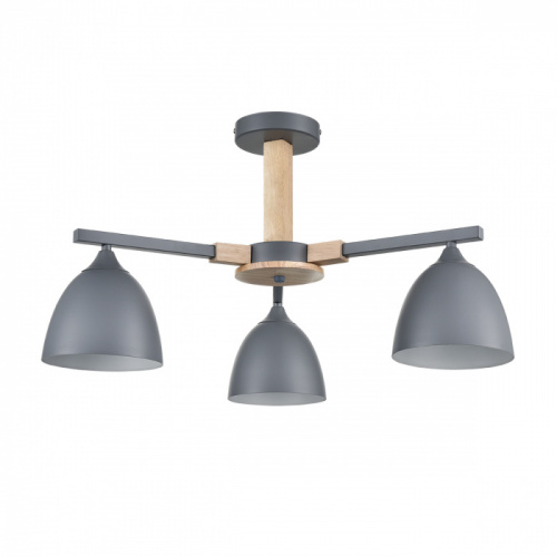 Потолочная люстра Lumion Colange 8096/3C
