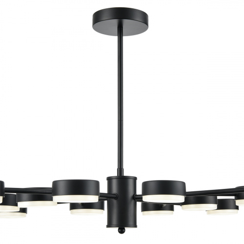 Подвесная люстра Lumion Torina 8117/12